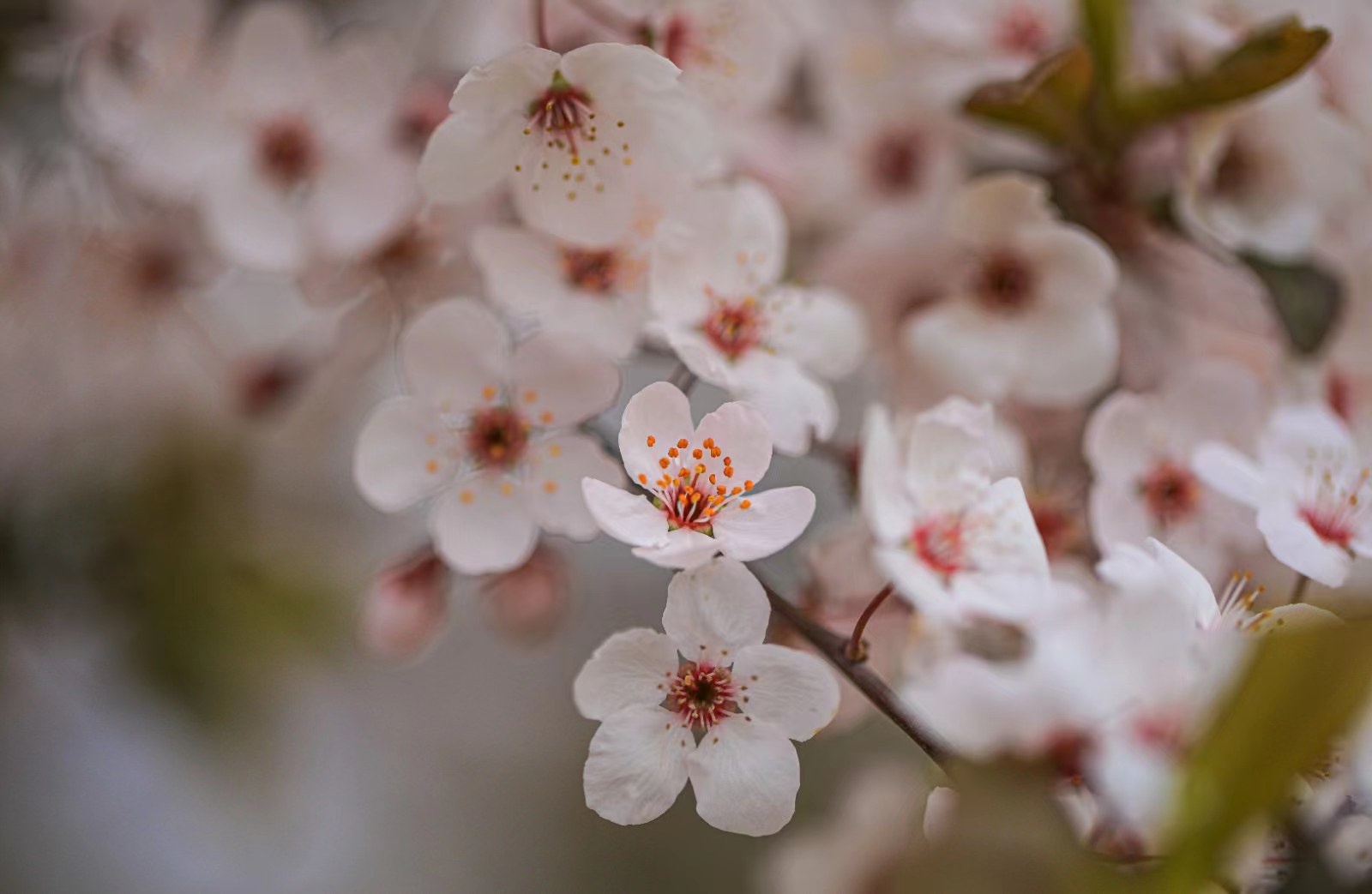 1711592310183024743.jpg bc178598a5919f60b561b8f8d5b5aa5.jpg