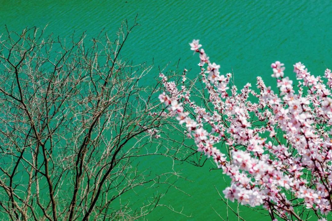 1711592024250062034.jpg 2912b16cf640437f5a97d2b63499a6e2_1711591432266074750_h=720&w=1080.jpg