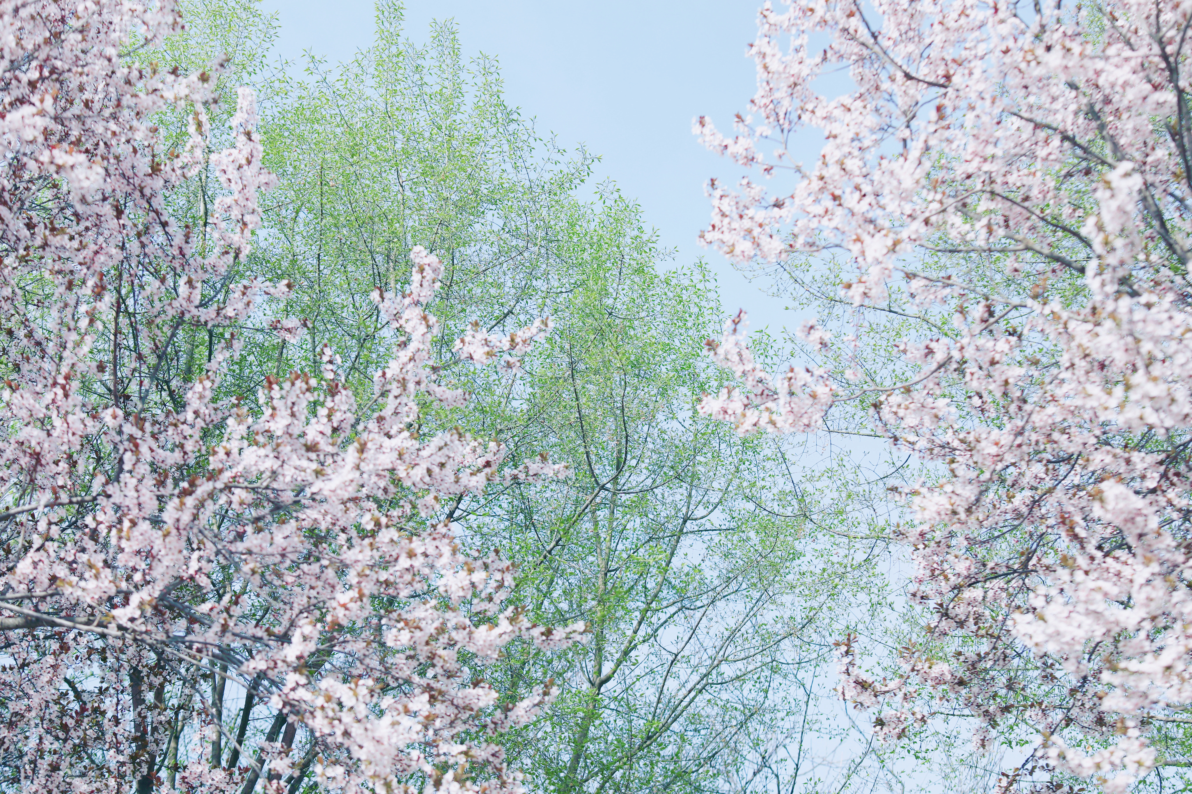 1711609643588050051.jpg 672d0d6adb41a646a2a65e67d24c3767_a6b04cb97fd04ef390cfb5f46d9edd1f_h=2730&w=4096.jpg