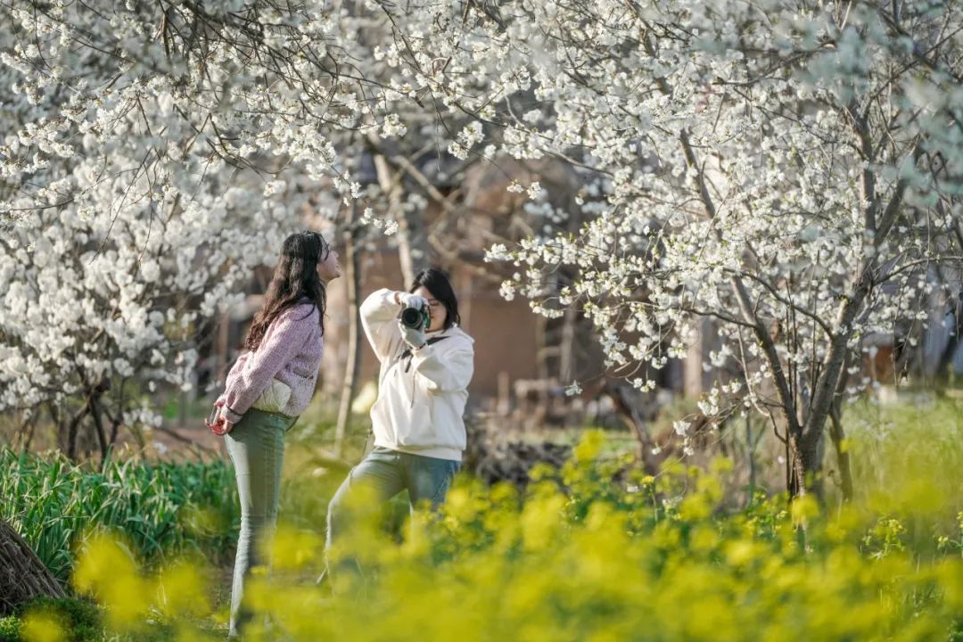 1711590861967004842.jpeg 5a0120b3d06d1857ba527c07e38f8dd8_1711590509117023125_h=720&w=1080.jpeg