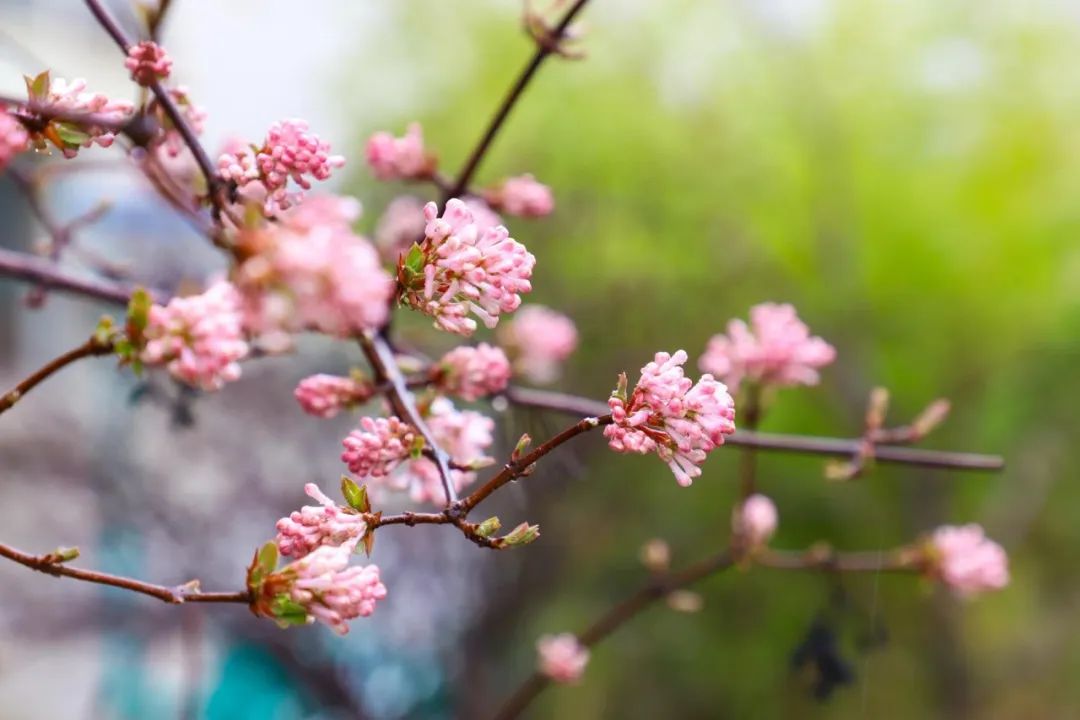 1711595908849006641.jpg 970d3bfbc971b3d8cdfe28274e92ed87_1711527010023087101_h=720&w=1080.jpg