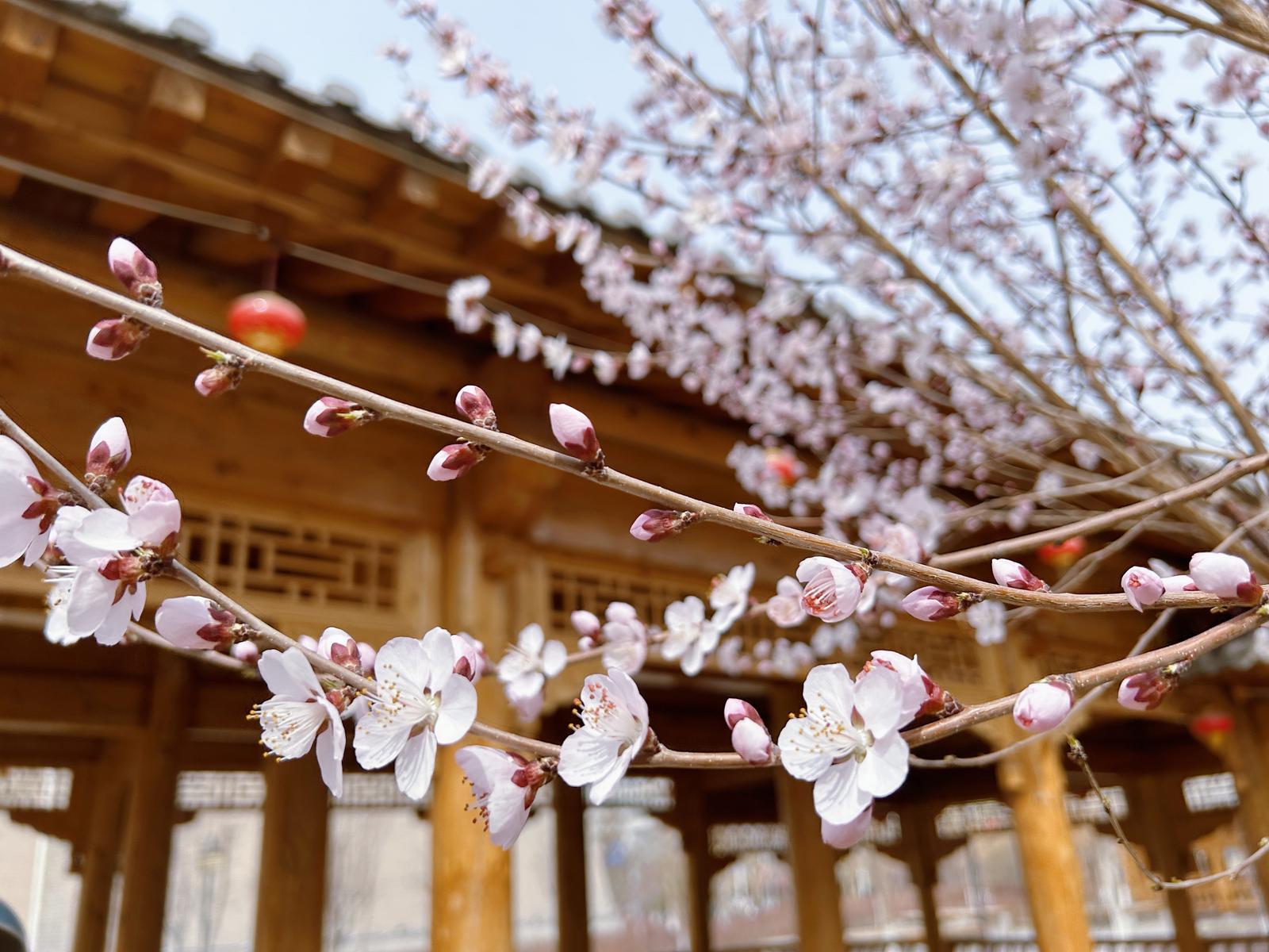 1711592588925045246.jpg 33e2f405bec4ebf51d5bafe34838d472_1711592416263072293_h=1200&w=1600.jpg