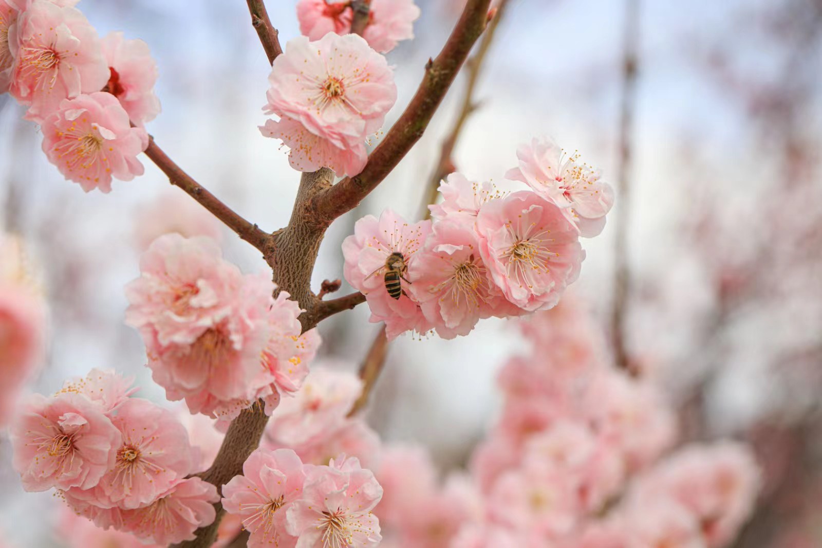 1711592299048038375.jpg a2e052b474b5e8aeeb3478ea817f049.jpg