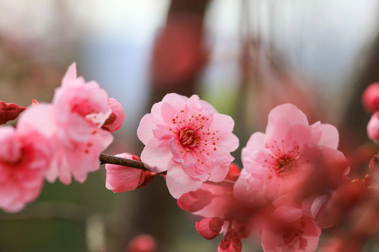 1711592320706017704.jpg 71323bd7e072dbc7ea35cf495c5f9e7.jpg