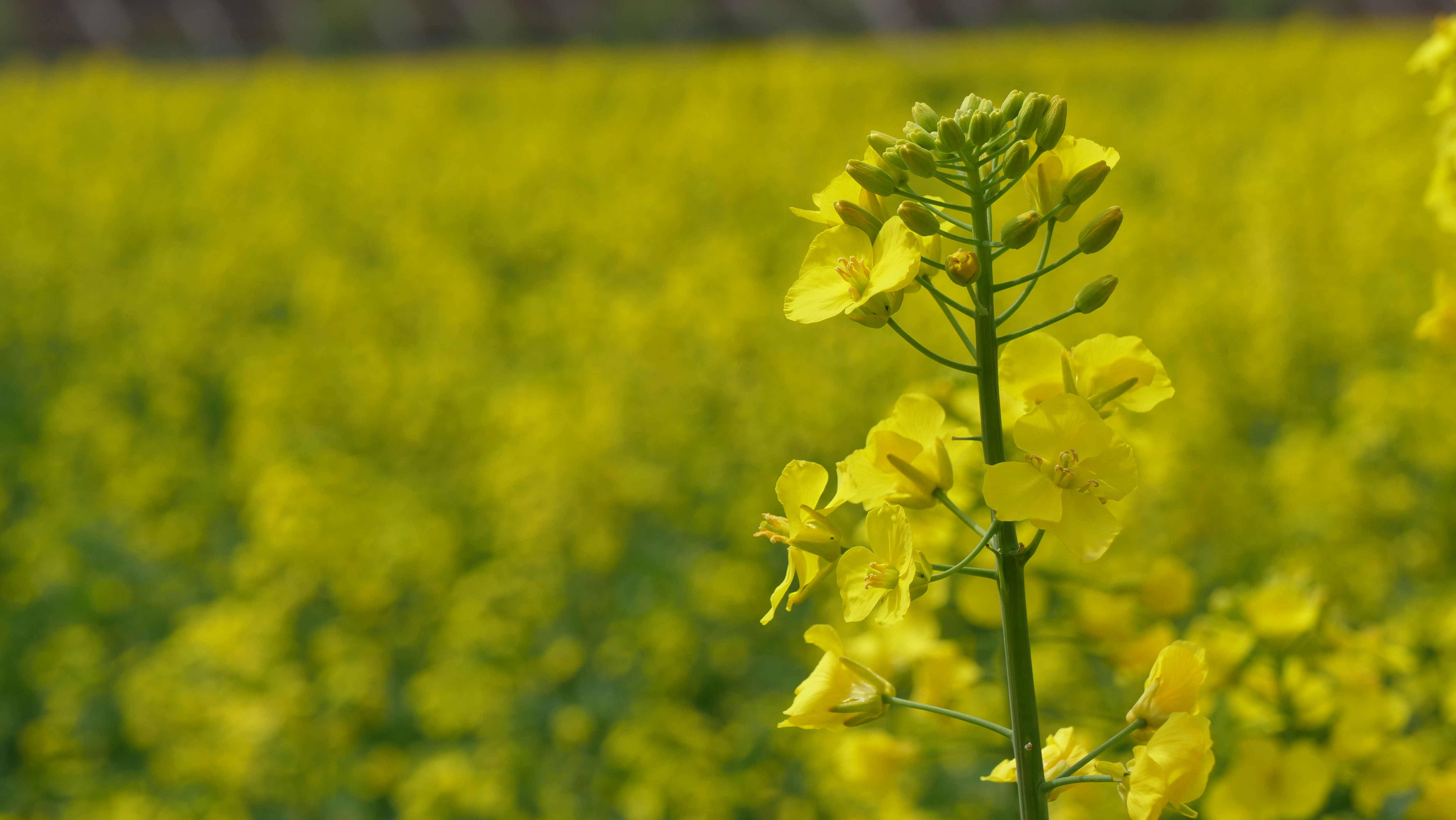 1711595324319016144.jpg 99d9434f53a2a6c98806b1d77e11f91.jpg