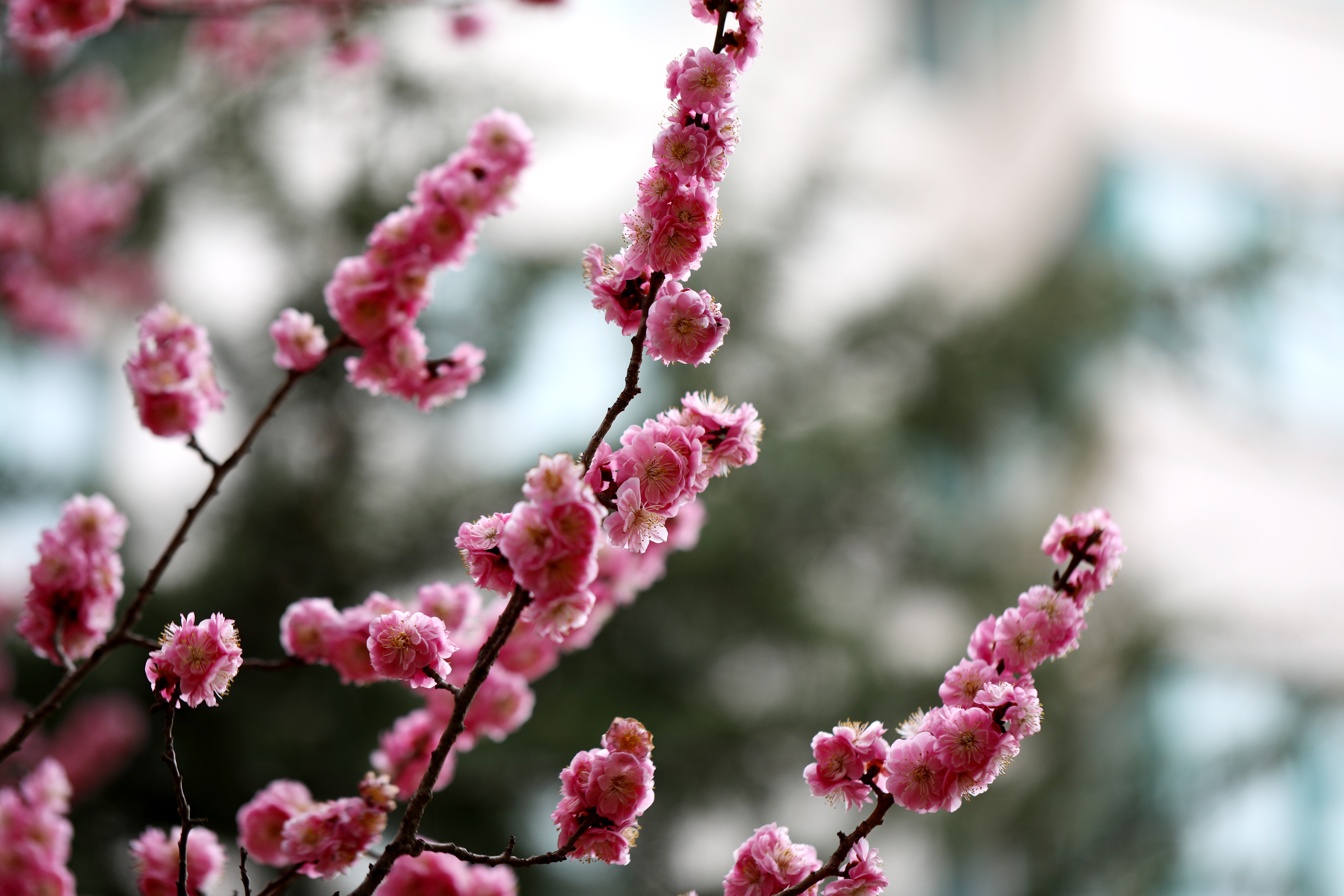 1711609592279061823.jpg 236f24dfc560784fc4de351fbd917671_12425e94e0a84e56be7a0bfaf769ac38_h=4480&w=6720.jpg