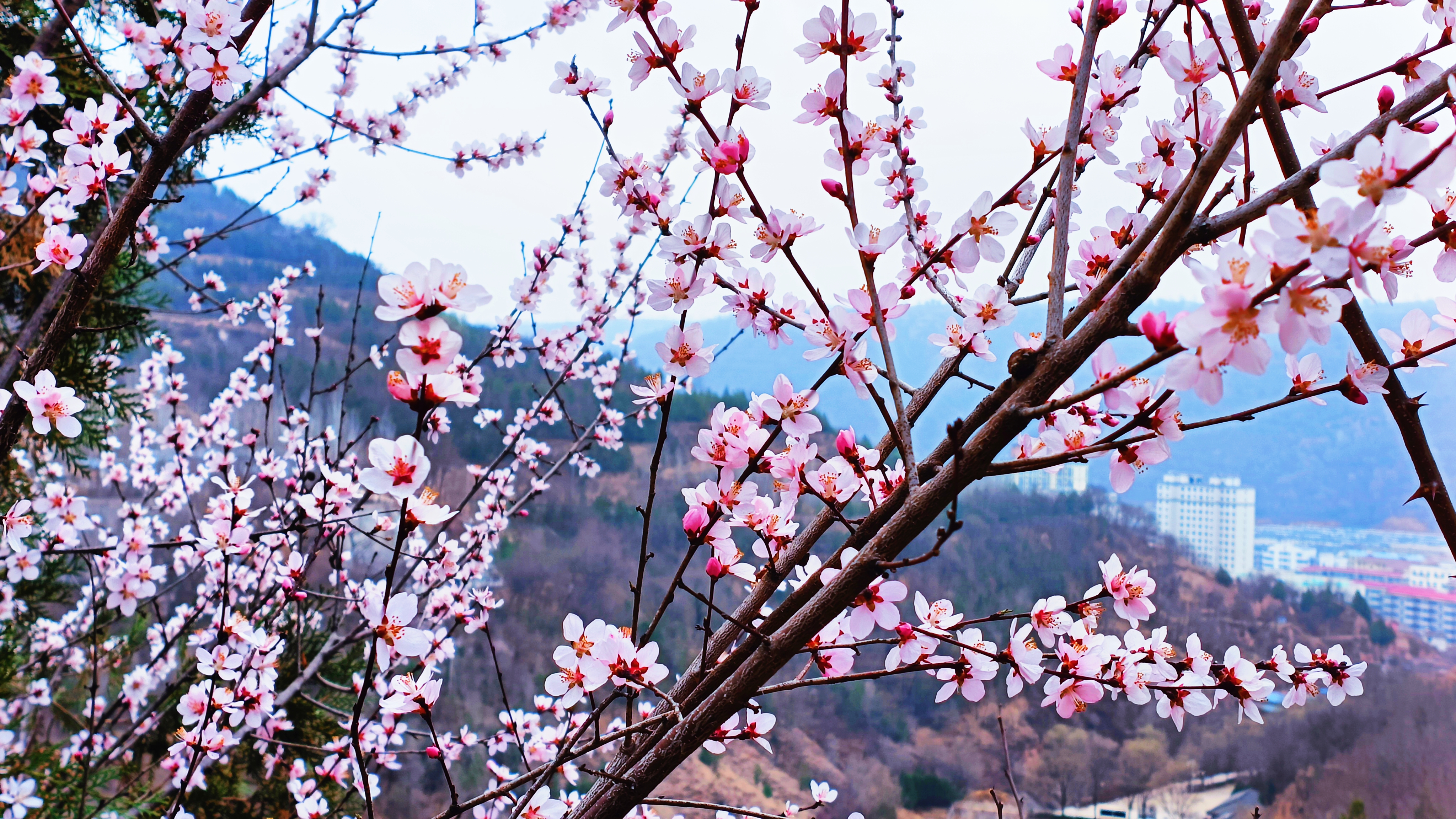 1711609621537071018.jpg 8da44086c9ebd79c12897dd3b88965f9_01df6a7017e84f638f72163541e8d71f_h=2304&w=4096.jpg