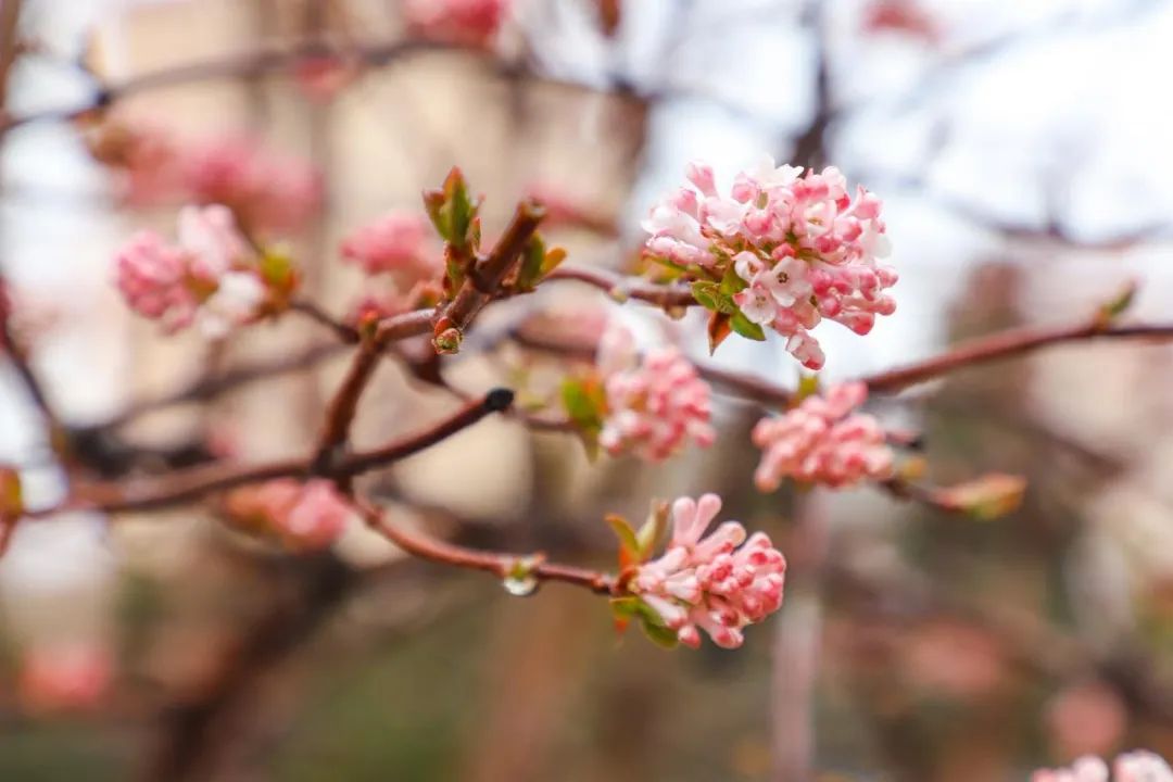 1711595893897052985.jpg 93013d5621addb95d0385805150c08d7_1711527008108074890_h=720&w=1080.jpg