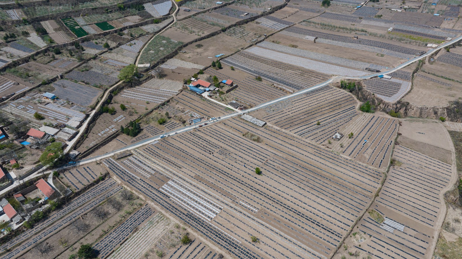 20250428-DJI_20250428114540_0300_D