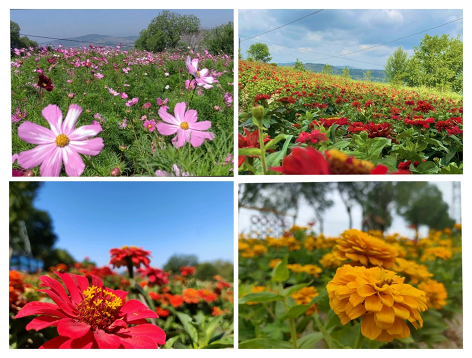 1691461847038071651.jpg 微信图片_20230808102831.jpg