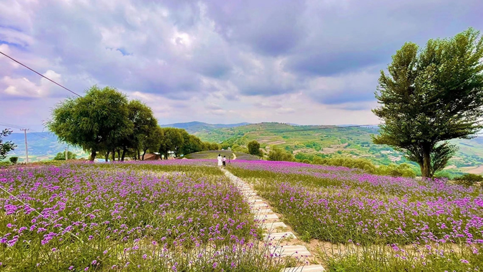 1691460633404014770.jpg 微信图片_20230804160455.jpg