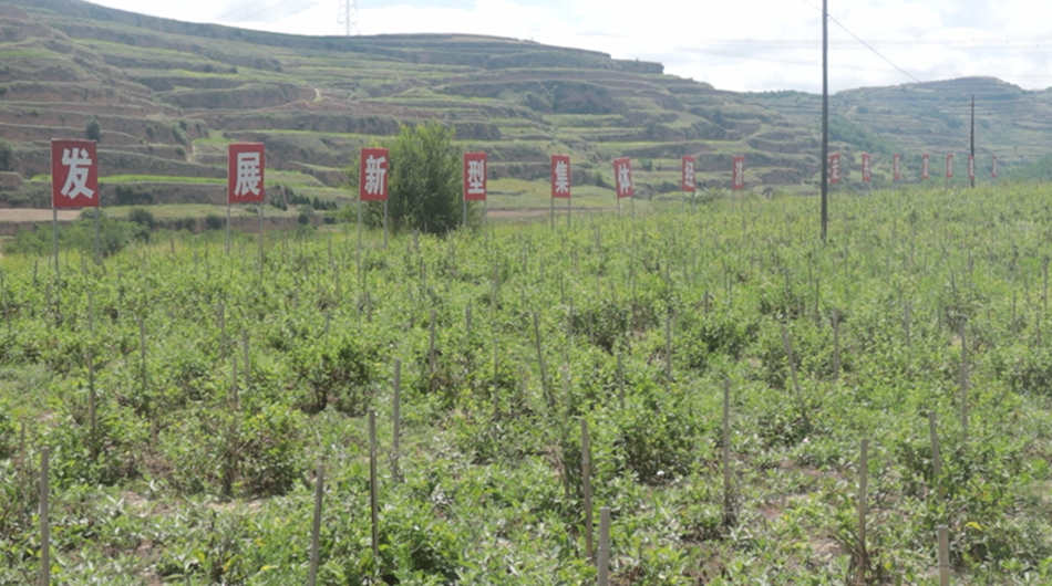 微信图片_20230811174658