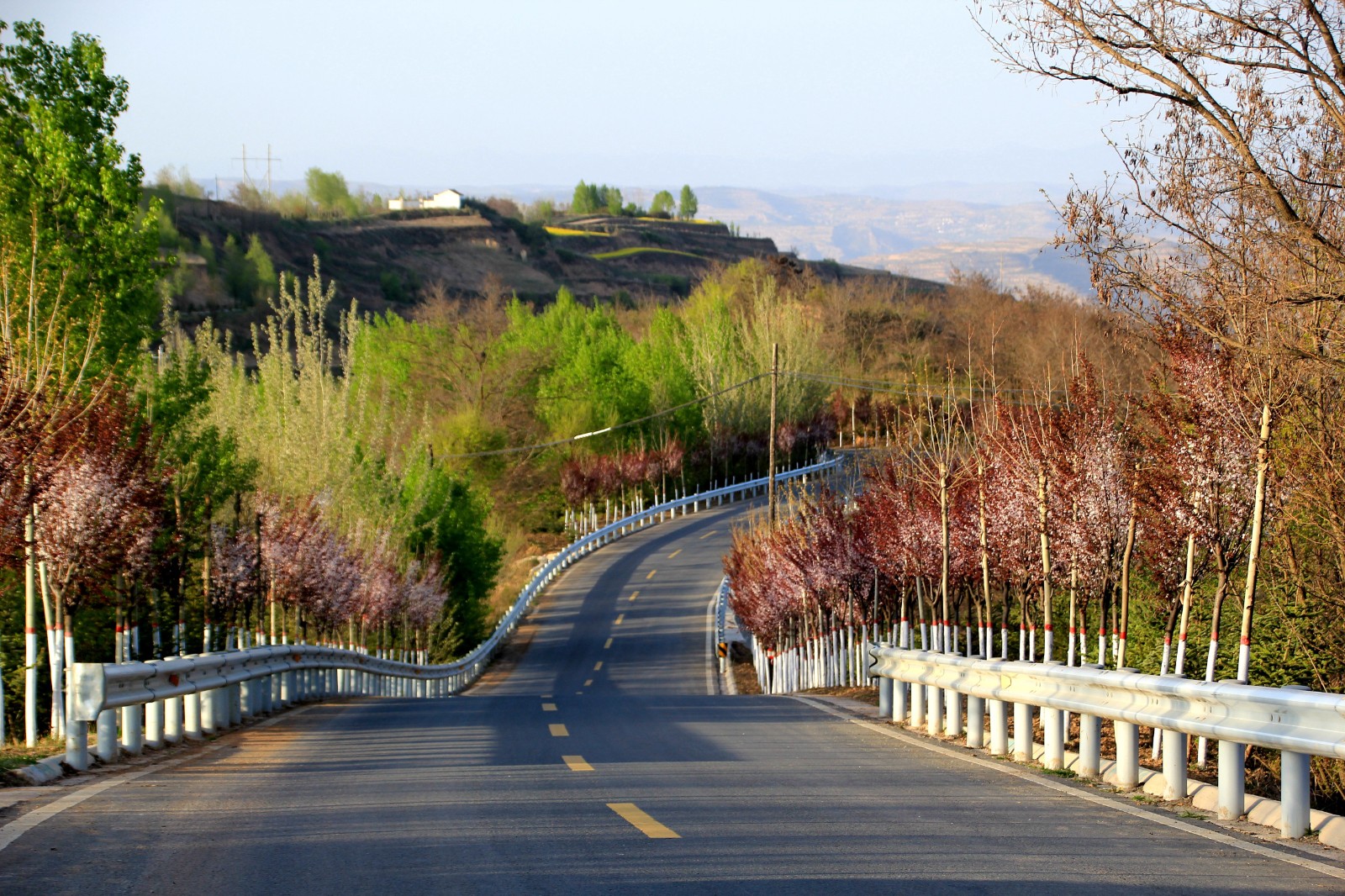 微信图片_20220422115005