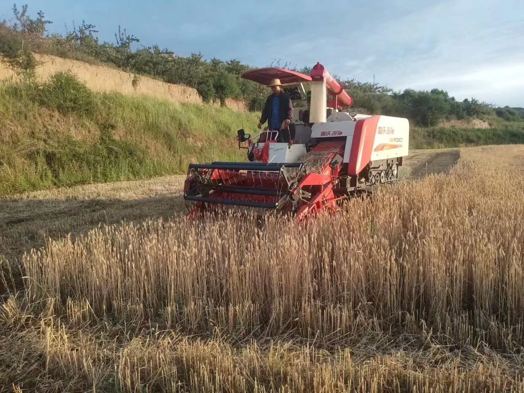 微信图片_20230716215222