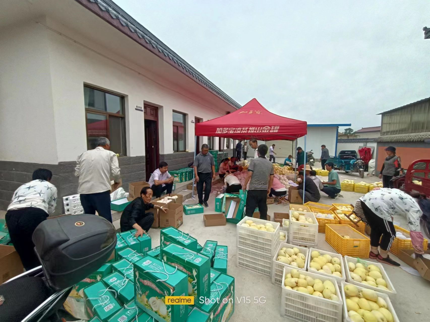 微信图片_2023071017482911