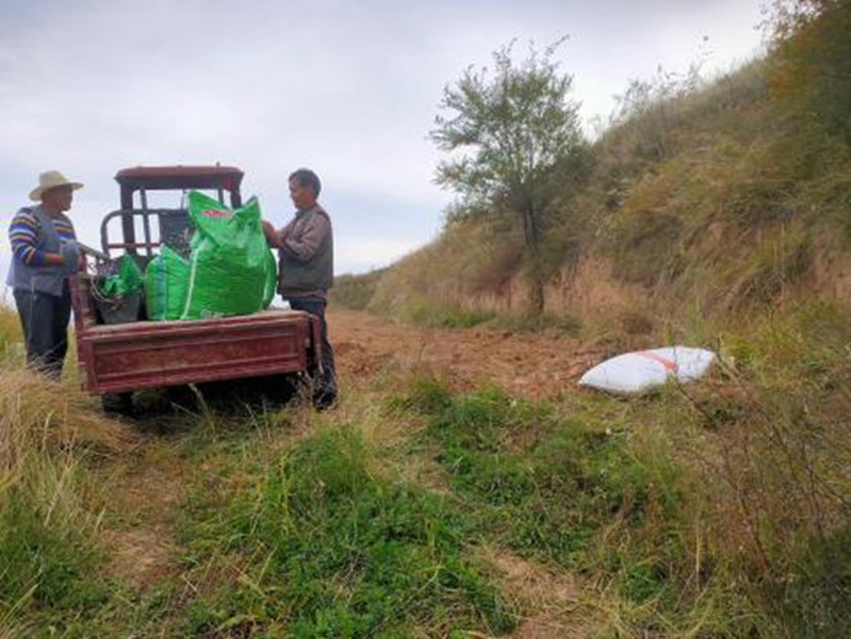 958d87a4d6b74d47b5c4ca65d7d7aef0_s