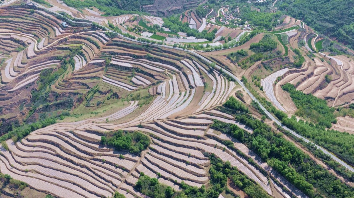 天水市秦安县王铺镇:大力推进特色农业基地建设 筑牢粮食安全防线_fororder_3