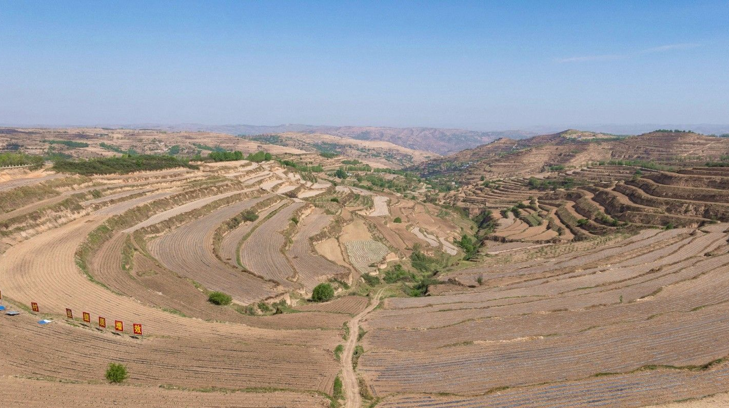 天水市秦安县王铺镇:大力推进特色农业基地建设 筑牢粮食安全防线_fororder_2