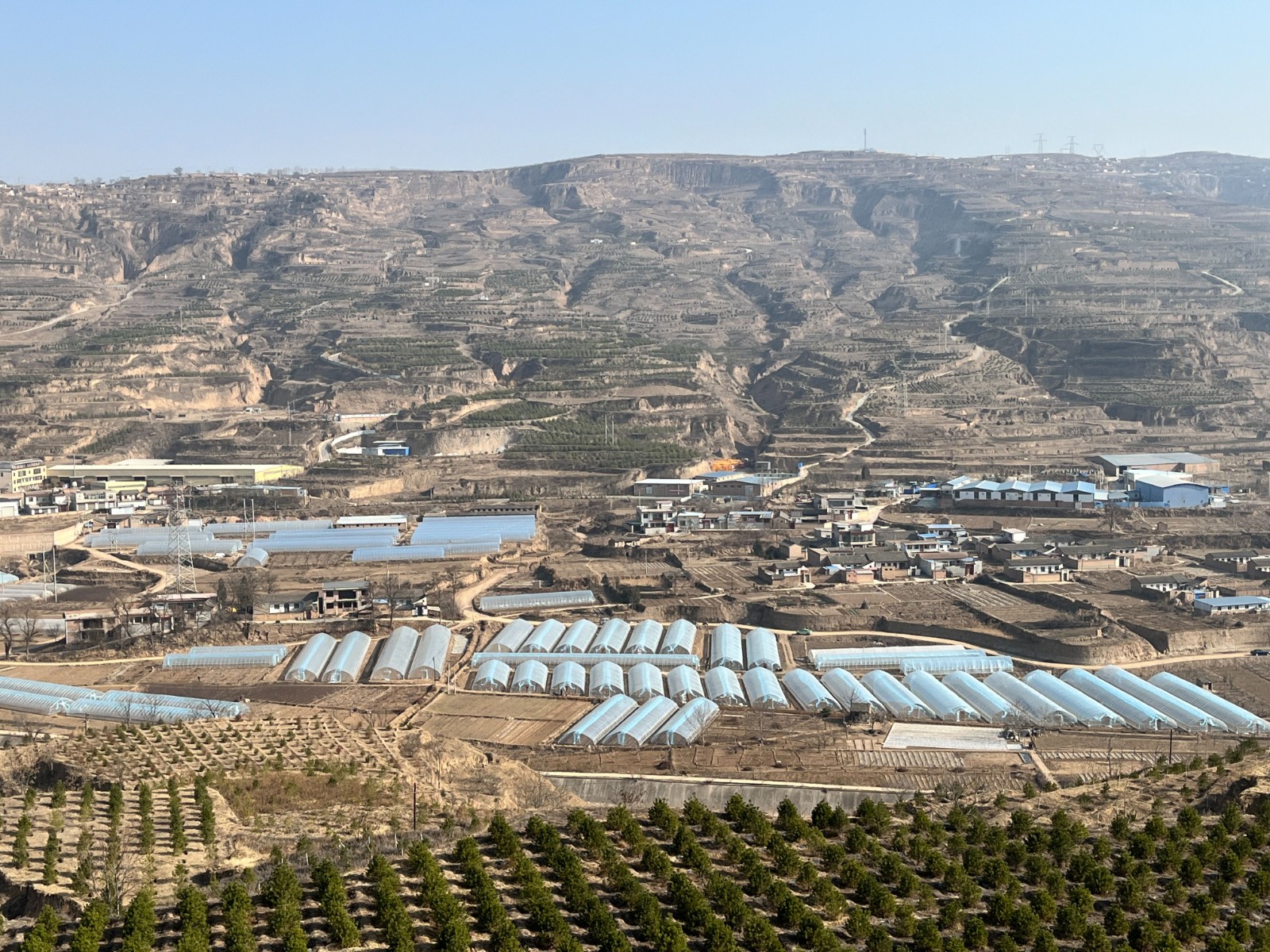 1689241101028025942.jpg df63516eae2a80e2c43c2577db8d69e.jpg