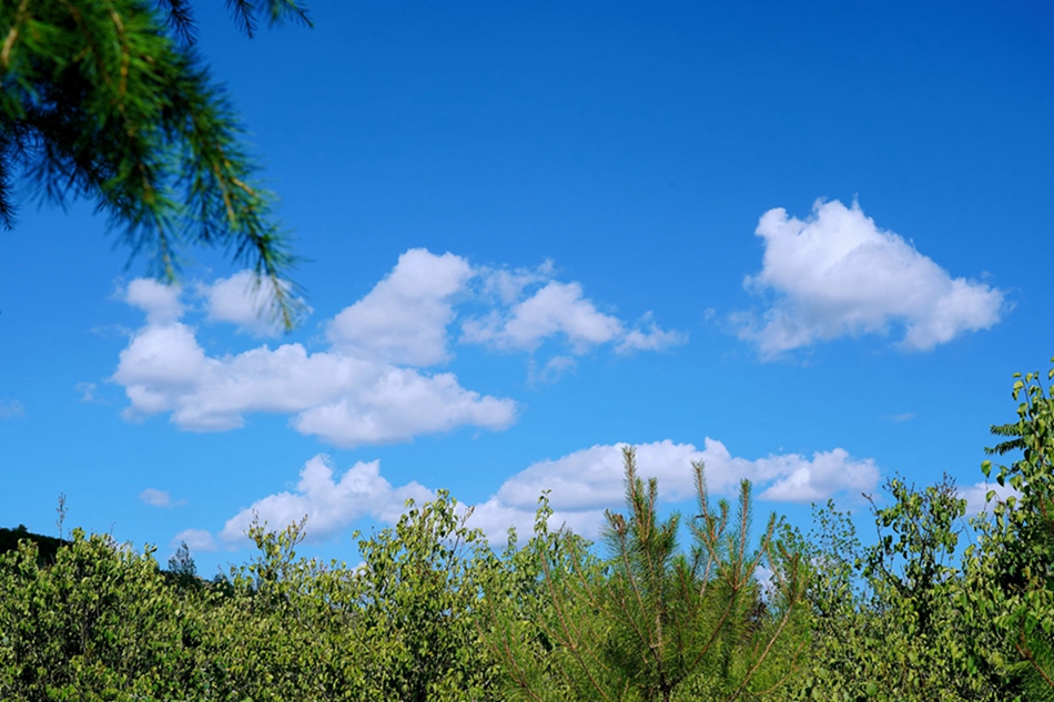 在云端看秦安感受诗意风景组图