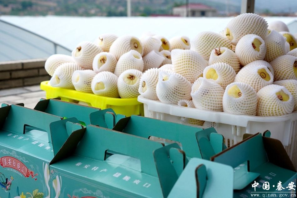 当前位置:>首页>新闻中心>秦安新闻>正文950_633