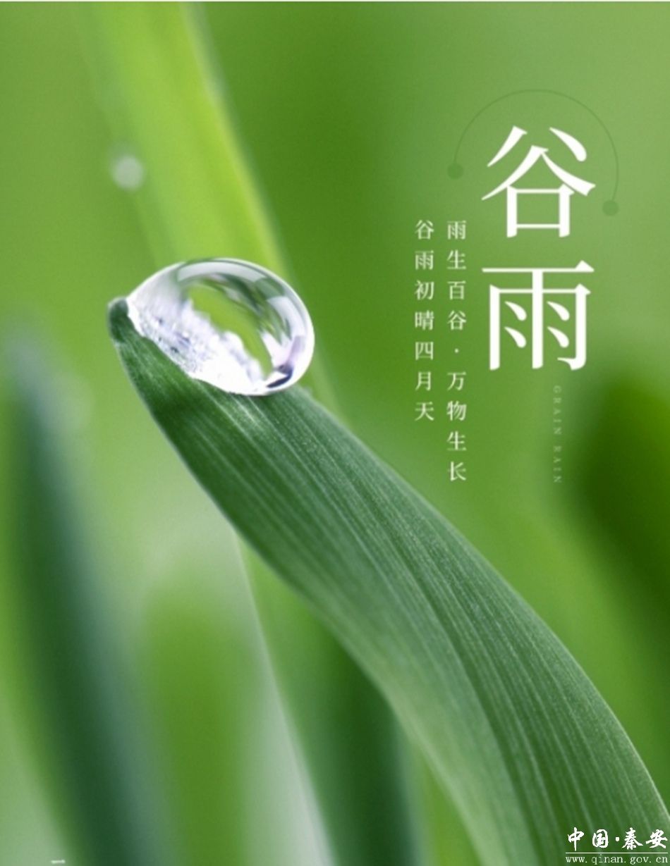 二十四节气谷雨雨生百谷水润万物