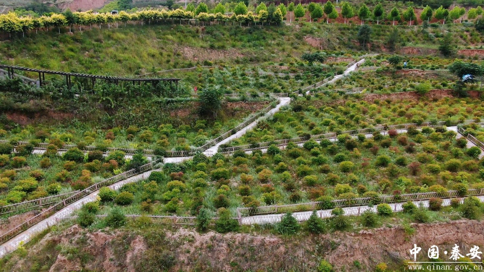 天水麻辣烫热辣滚烫秦安乡村美景这边独好
