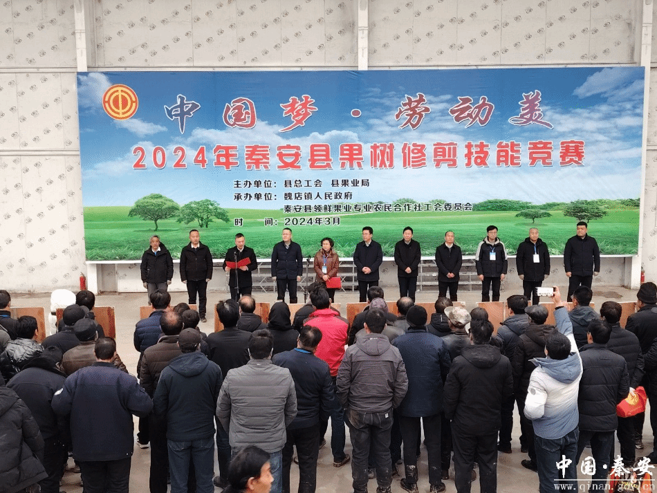 新天水秦安县举办中国梦劳动美2024年秦安县果树修剪技能竞赛