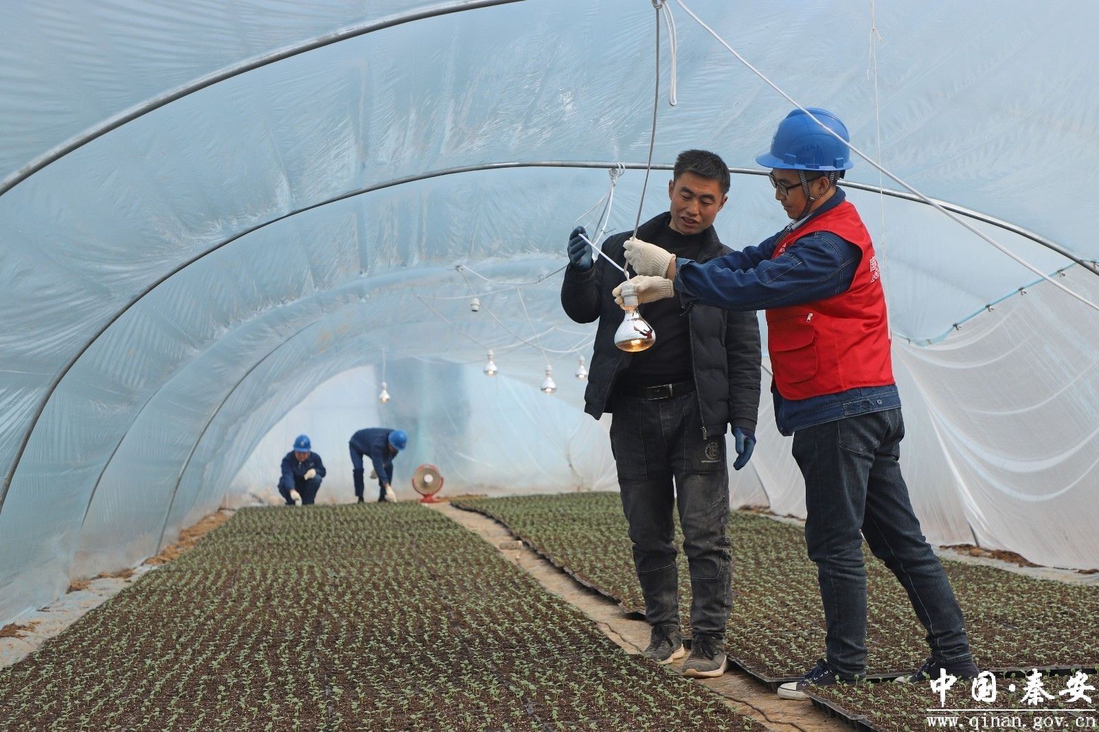 【新天水】【新思路 新产业 新前景】 错时 错峰