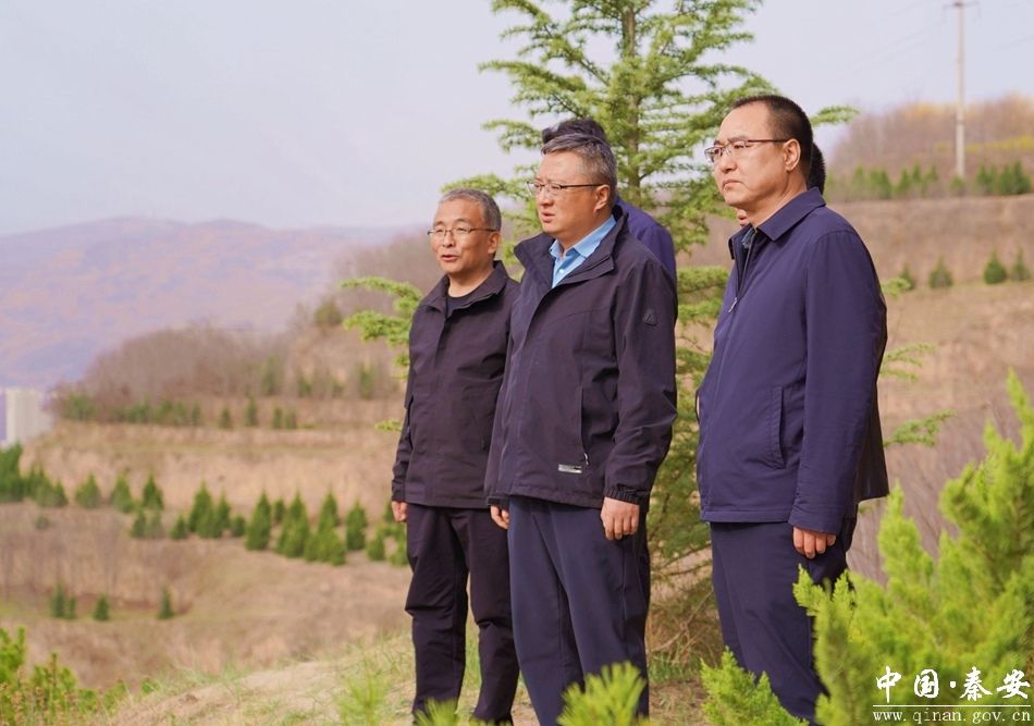 周济调研林长制,森林防火及村庄绿化工作-秦安县人民政府