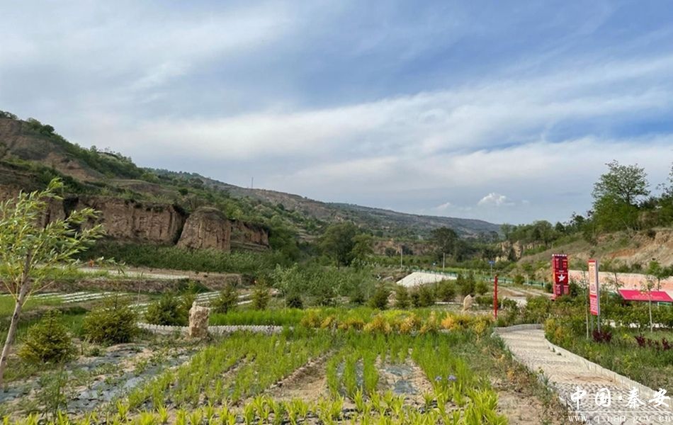 兴丰镇:着力改善人居环境 擦亮和美乡村底色