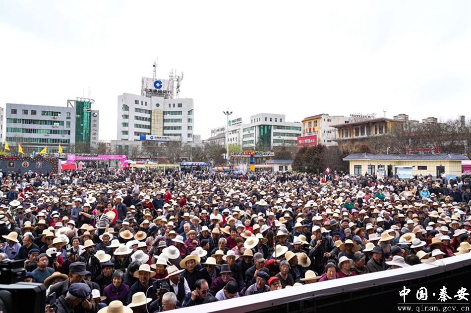 2024秦安桃花会2024年甘肃秦安桃花会秦腔名家演唱会鸣锣开唱