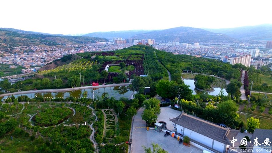 满目绿意穿不透 凤山尽是盛景画-秦安县人民政府