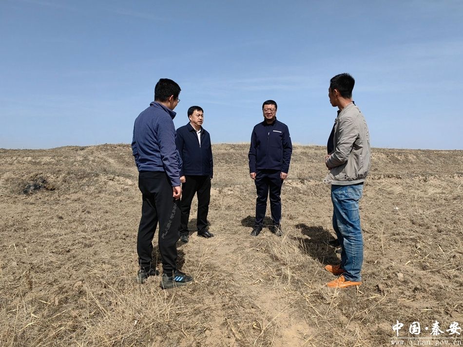 王龙强调研督导耕地保护工作