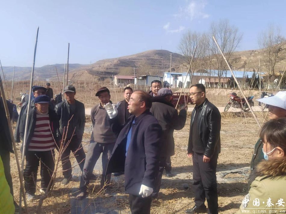 魏店镇组织开展桃树技能培训活动-秦安县人民政府