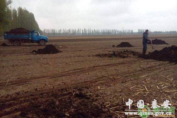 提高化肥利用率的三个技巧 提高化肥利用率的三个技巧