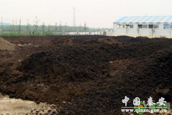 提高化肥利用率的三个技巧 提高化肥利用率的三个技巧