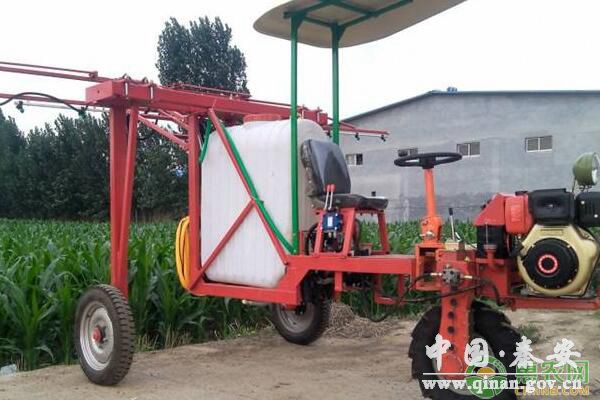 1606179772960076587.jpg 1606179772960076587.jpg