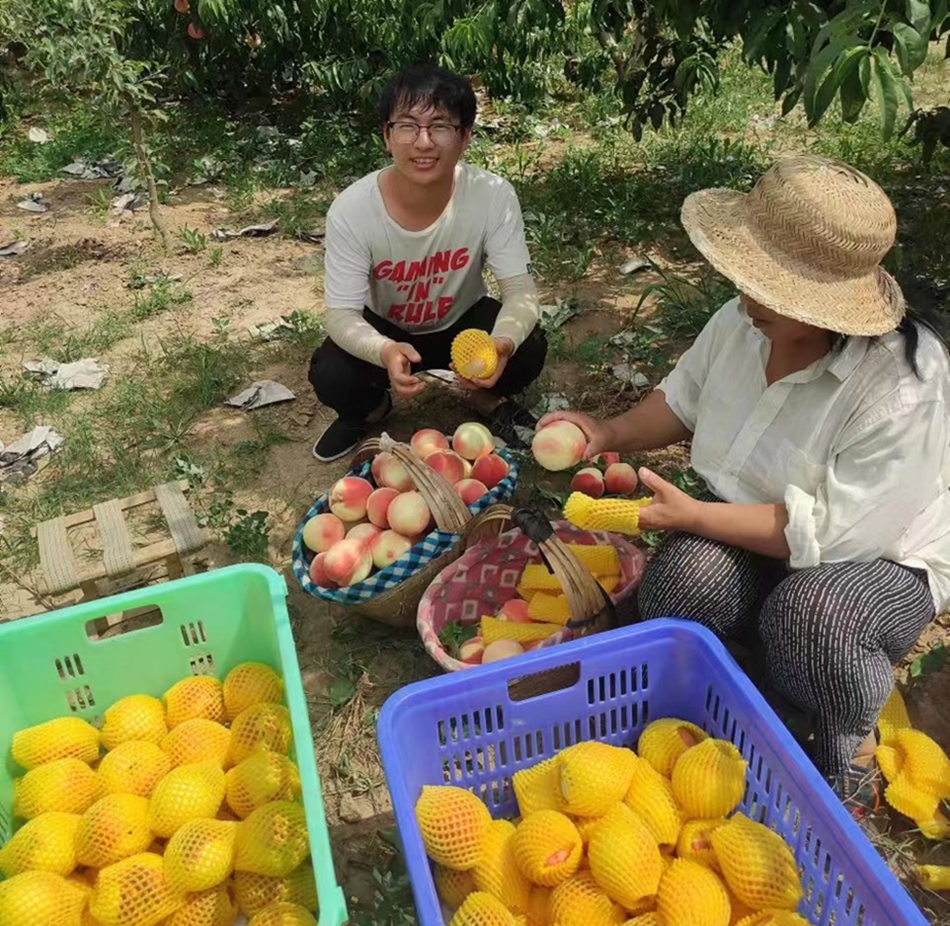 图片2.png 图片2.png