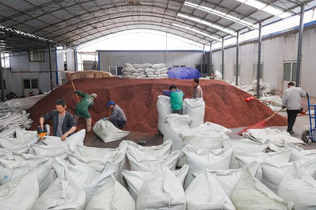 天水秦安:10万余斤花椒发车成都