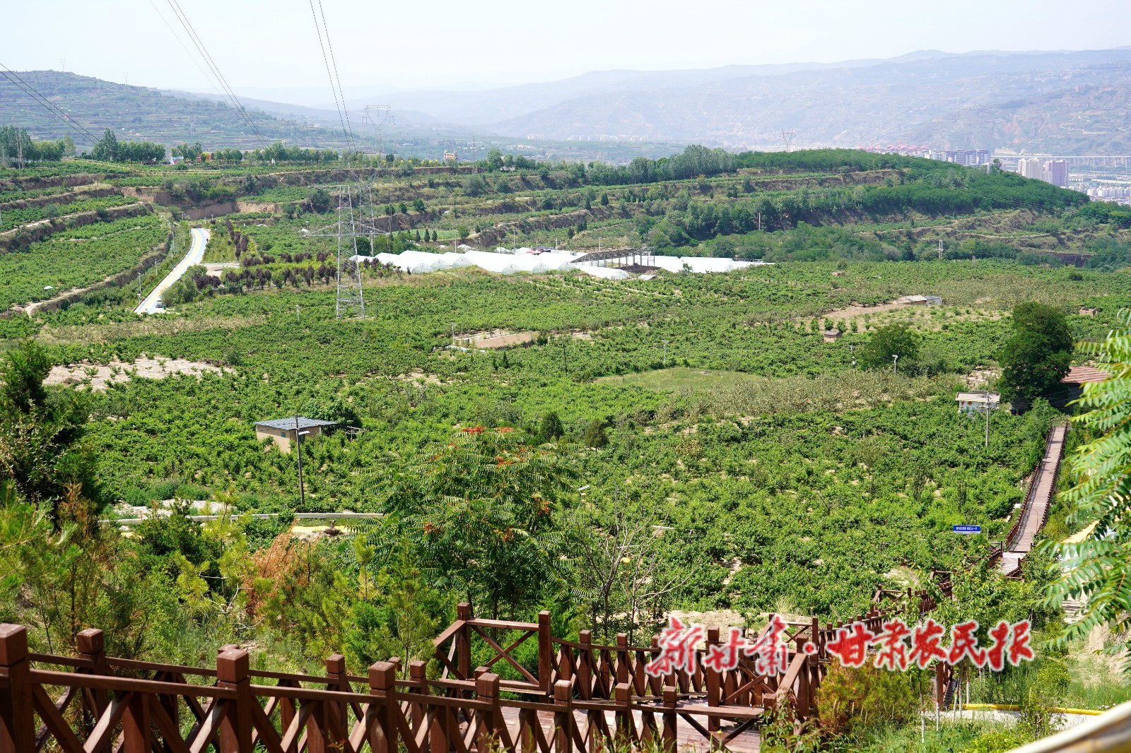 微信图片_20240618153025