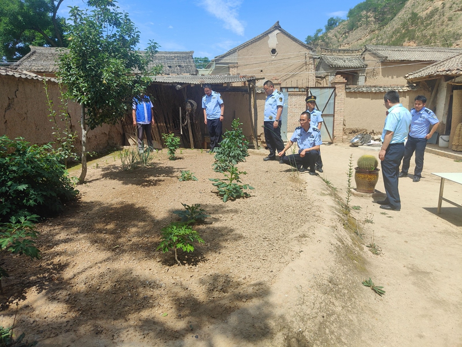 da48c840d5c157be24a127ba490f972