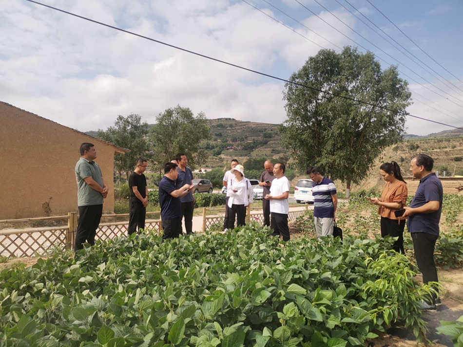 1691047502684091348.jpg d299f566435e537f186fd2b7a3ccda1.jpg