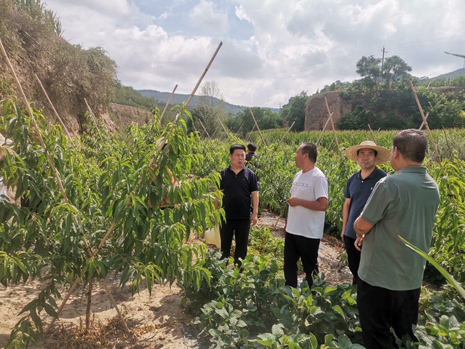 1691047668244005852.jpg d07c5cd8987c252c57e41381237dc9d.jpg