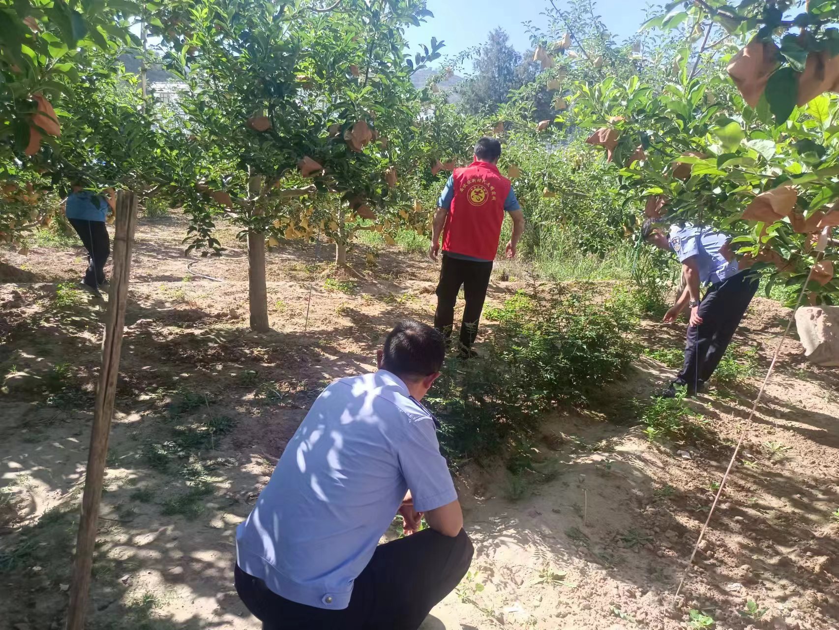 1688984476432021421.jpg 710e279dfe1fcea96fbb2d563e6d618.jpg