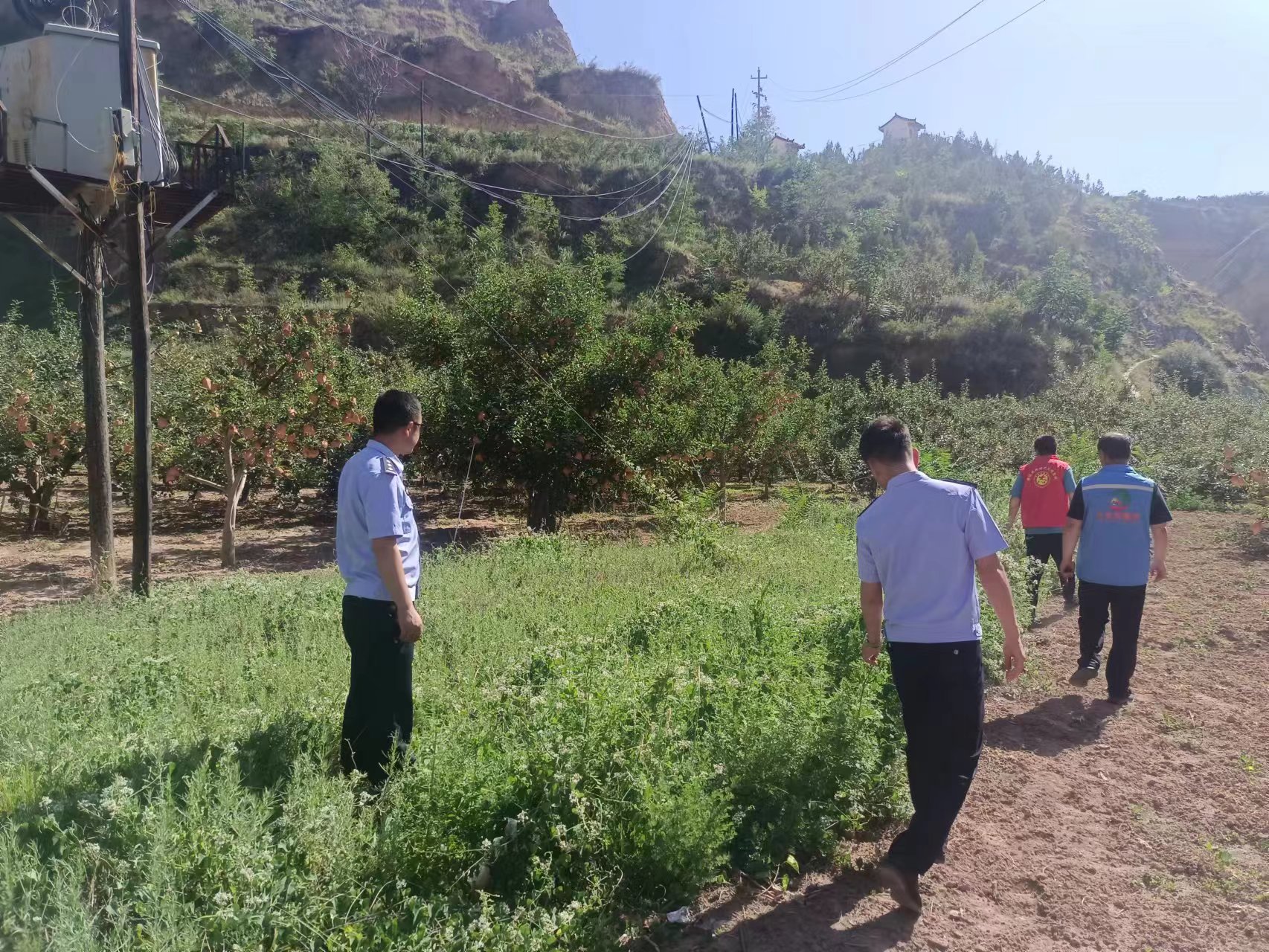 1688984497268011596.jpg 7b1e5769c4011d67100a55380667cb8.jpg