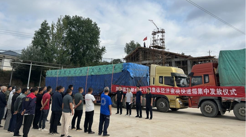 图片1.png 图片1.png