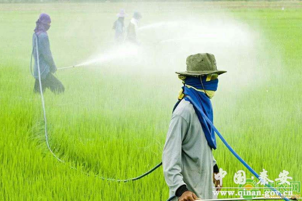 农药混配原则 农药混配原则