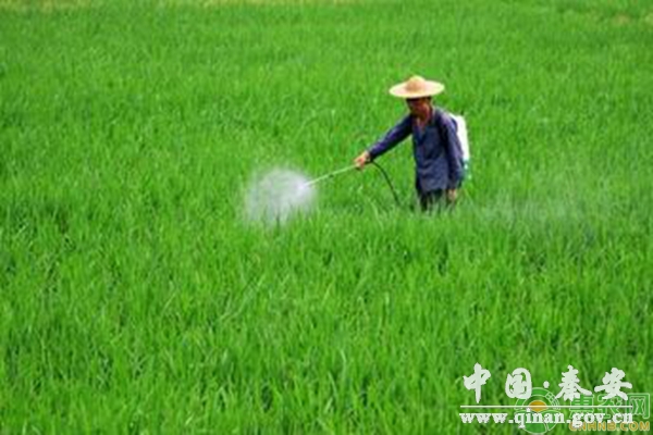 农药混配原则 农药混配原则