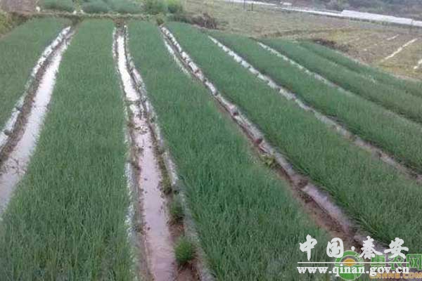 1600737254075069302.jpg 1600737254075069302.jpg